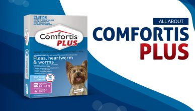 all-about-comforts-plus