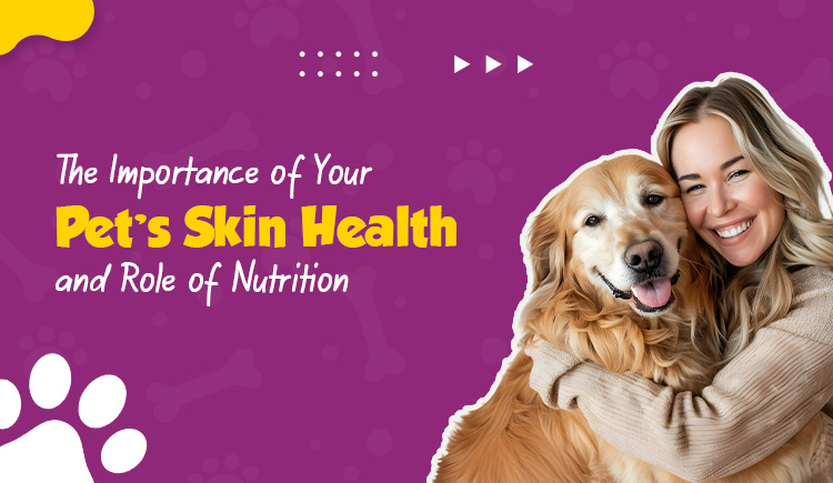 the-importance-of-your-pets-skin-health-and-role-of-nutrition