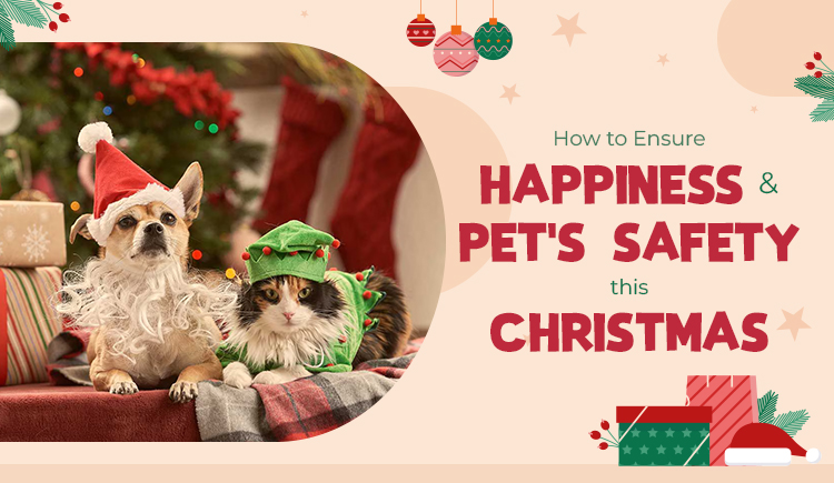 how-to-ensure-pets-safety-and-happiness-this-christmas