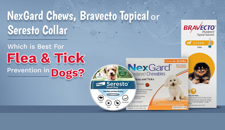 nexgard-chews-bravecto-topical-or-seresto-collar-which-is-best-for-flea-&-tick-prevention-in-dogs