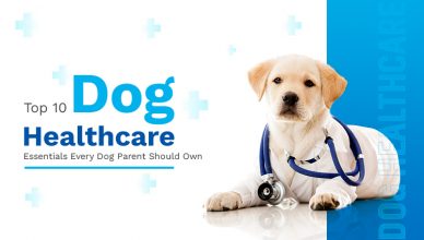 top-10-dog-healthcare-essentials-every-dog-parent-should-own