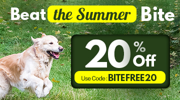 beat-the-summer-bite