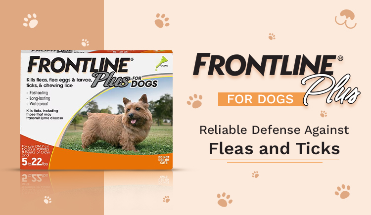 frontline-plus-for-dogs-reliable-defense-against-fleas-and-ticks