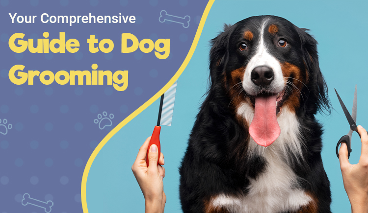 your-comprehensive-guide-to-dog-grooming