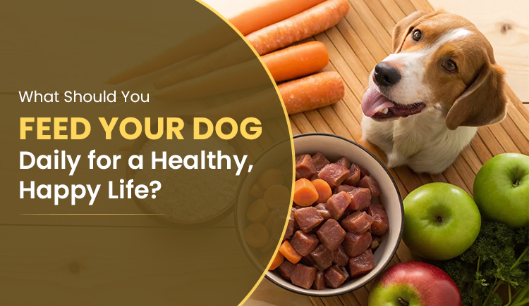 what-should-you-feed-your-dog-daily-for-a-healthy-happy-life