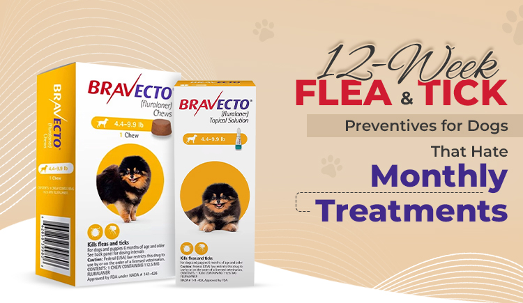 12-week-flea-&-tick-preventives-for-dogs-that-hate-monthly-treatments