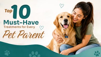 top-10-must-have-treatments-for-every-pet-parent