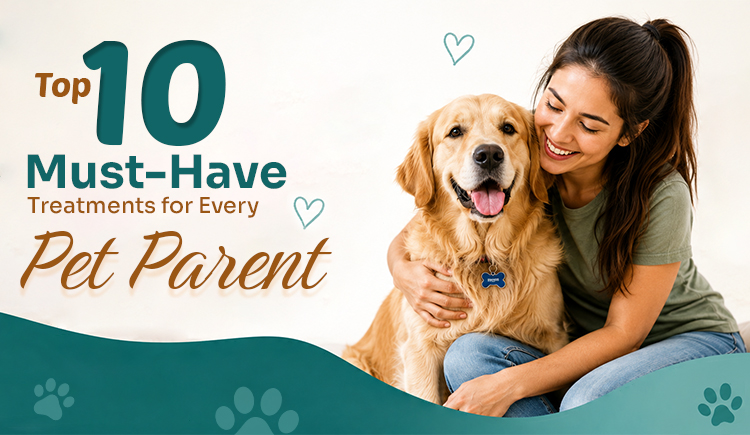 top-10-must-have-treatments-for-every-pet-parent